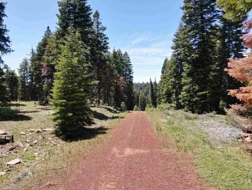 Northern California Modoc County 0.9 Acre Great Investment on Pine Road Surrounded by Gorgeous Forested Mountains! Low Monthly Payments! - Image 3