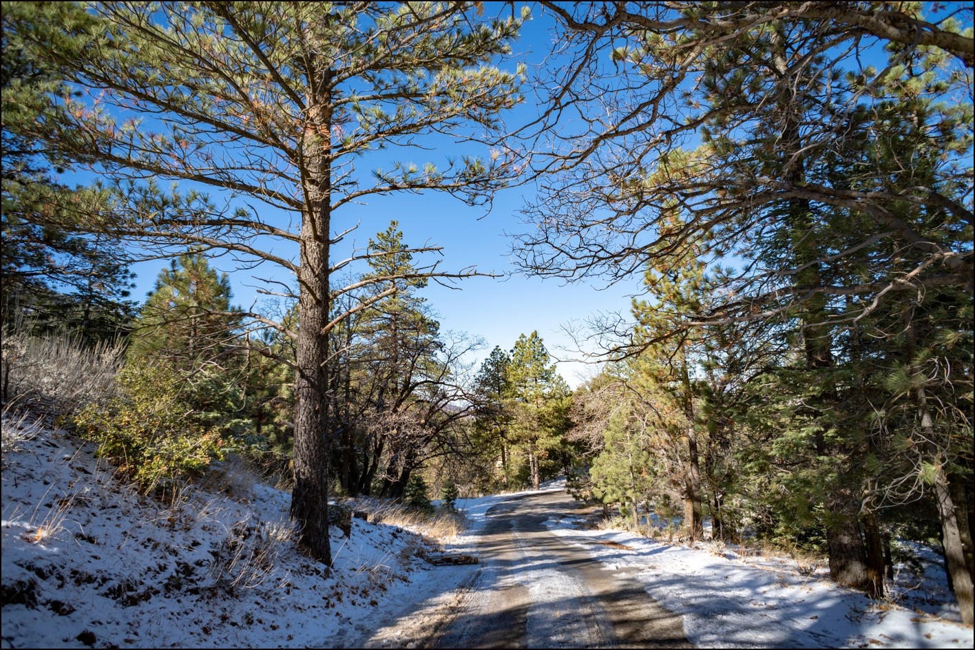 Northern California Modoc County 0.9 Acre Great Investment on Pine Road Surrounded by Gorgeous Forested Mountains! Low Monthly Payments! - Image 5