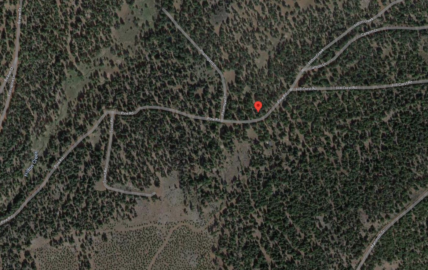 Northern California Modoc County 0.9 Acre Great Investment on Pine Road Surrounded by Gorgeous Forested Mountains! Low Monthly Payments! - Image 8