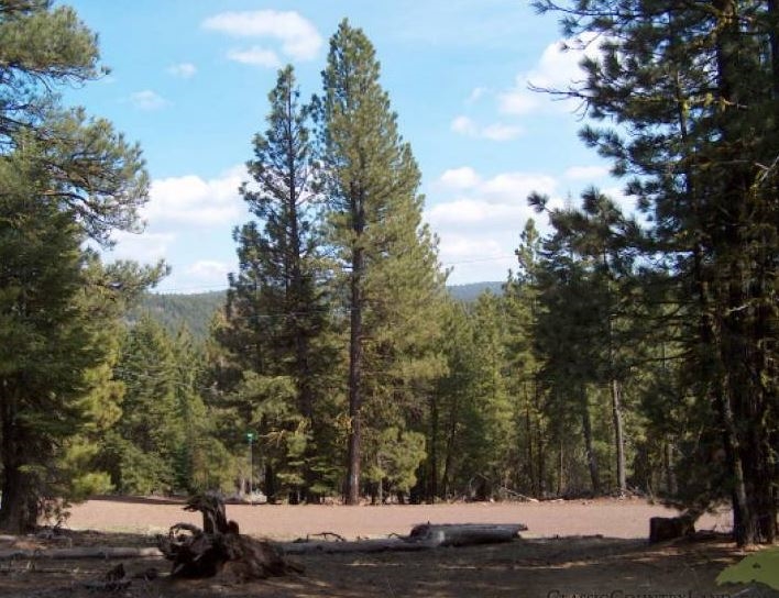 Northern California Modoc County 1.41 Acre Large Road Frontage Investment Loaded with Natural Amenities! Low Monthly Payments! - Image 5