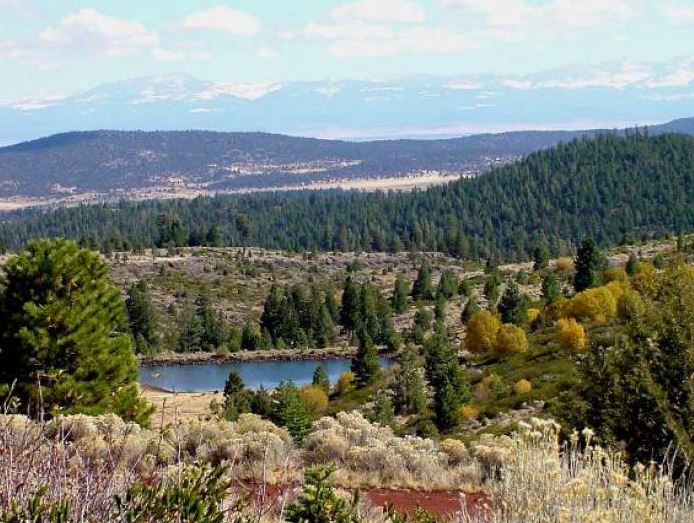 Northern California Modoc County 0.94 Acre Lot Featuring Great Access and Tons of Natural Amenities! Low Monthly Payments! - Image 3