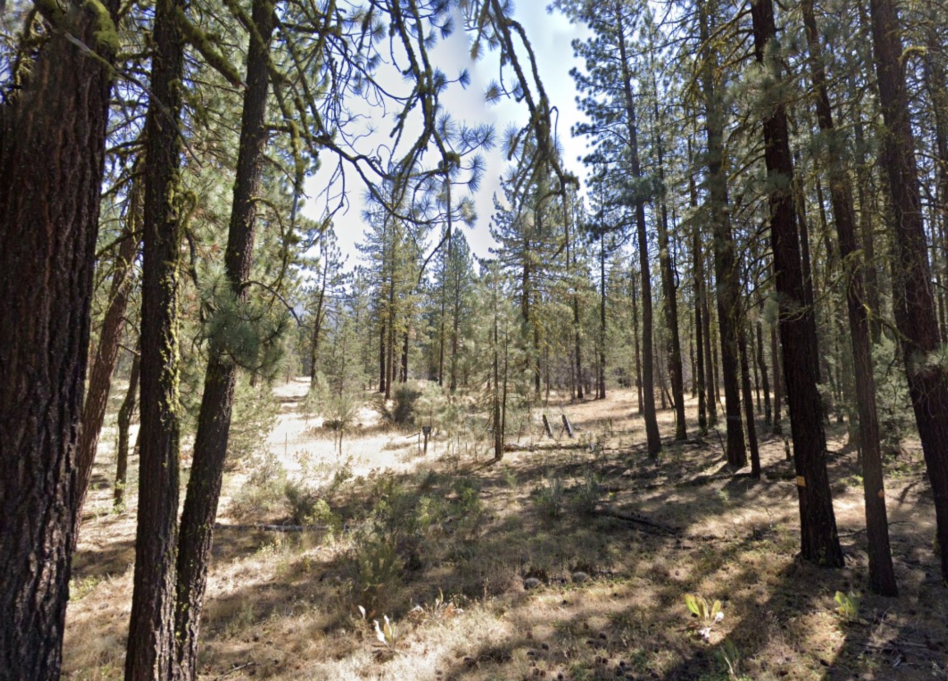 Northern California Modoc County 0.92 Acre Parcel! Fantastic Recreation! Tons of Natural Amenities! Low Monthly Payment! - Image 3