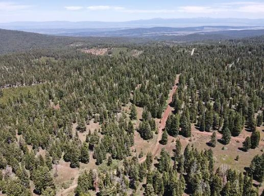 0.92 Acres in Modoc County Near California Pines with Elevated Ground - Image 6