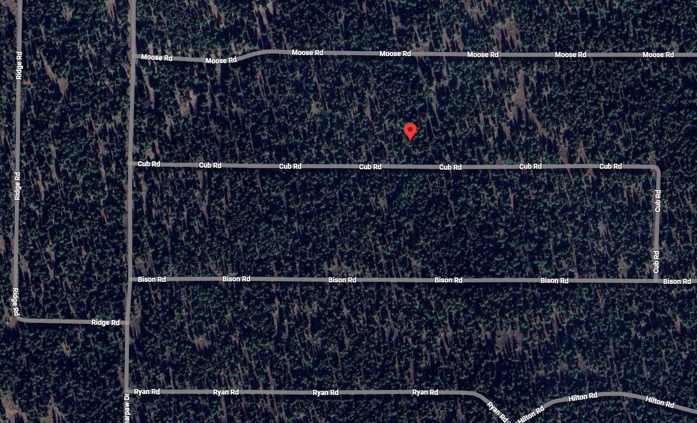 0.92 Acres in Modoc County Near California Pines with Elevated Ground - Image 8