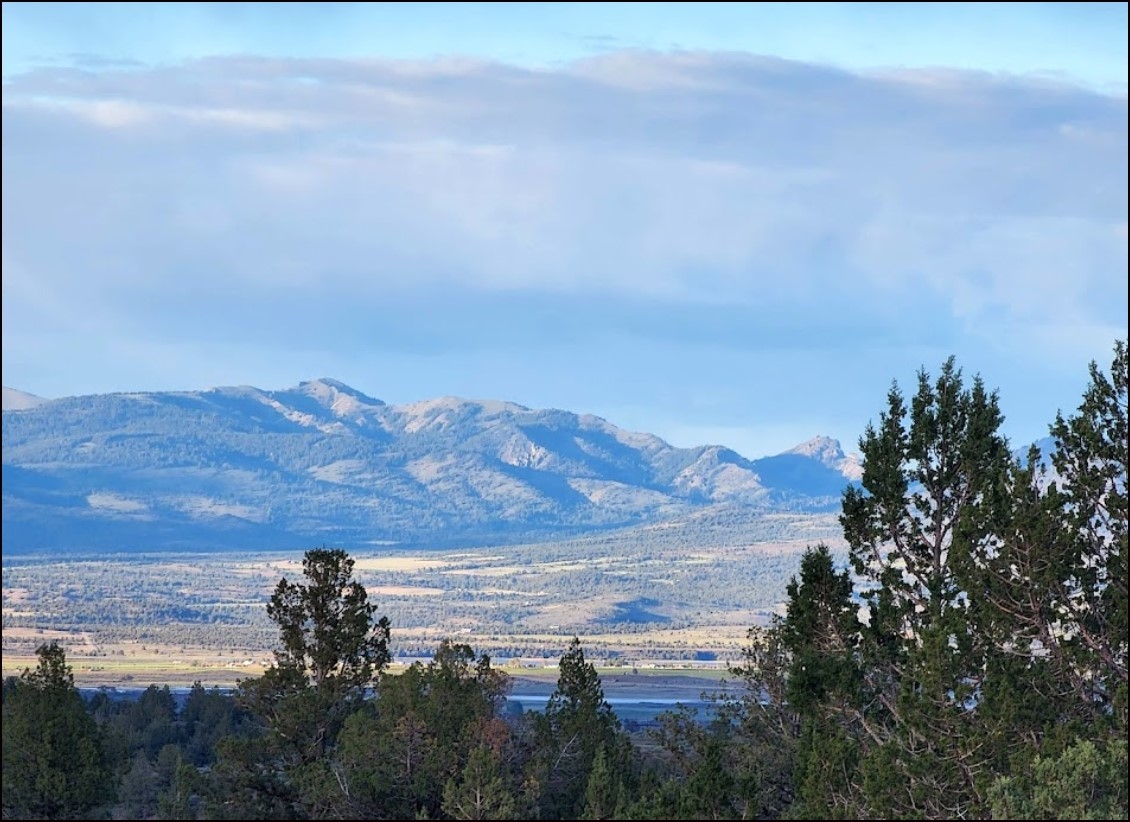 Northern California Modoc County 0.98 Acre Lot! Great Recreational Land Investment on Low Monthly Payments! - Image 3