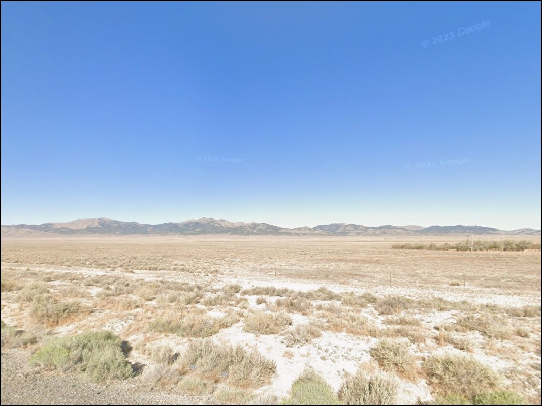 Feature Timed Auction | Highest Bid Meeting Reserve Wins