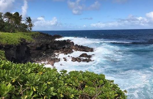 Nanawale Estates Lot in Hawaii County Near Pahoa With Neighborhood Access and Tropical Homesite Appeal - Image 3