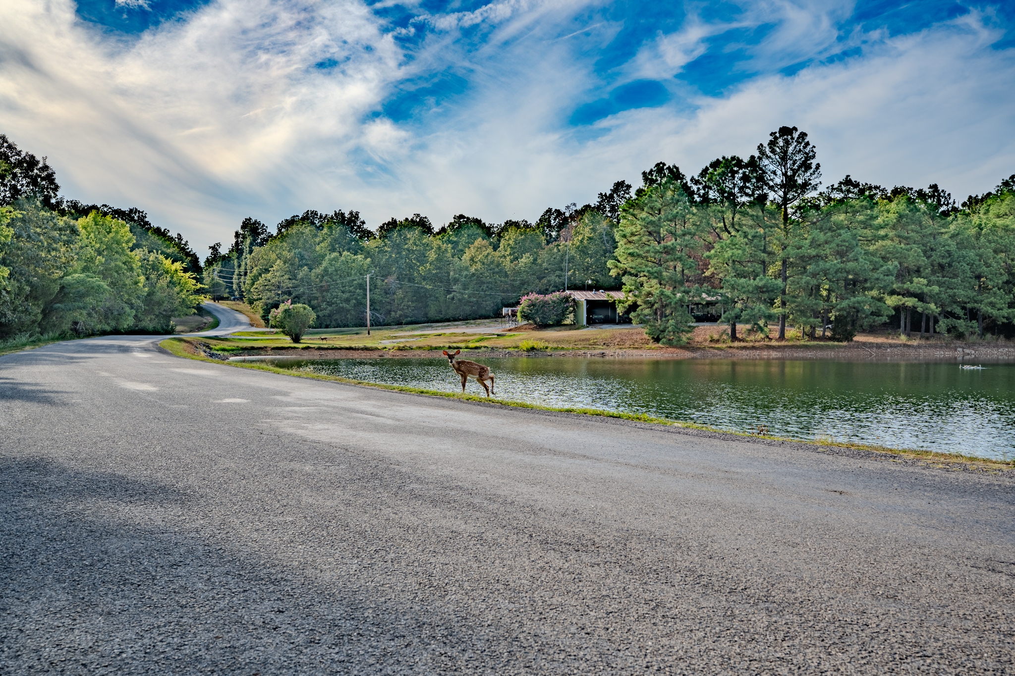 Triple Lot Fulton County Arkansas Prime Investment Location Near Golf, Lakes and Ozark Views! Low Monthly Payments! - Image 7