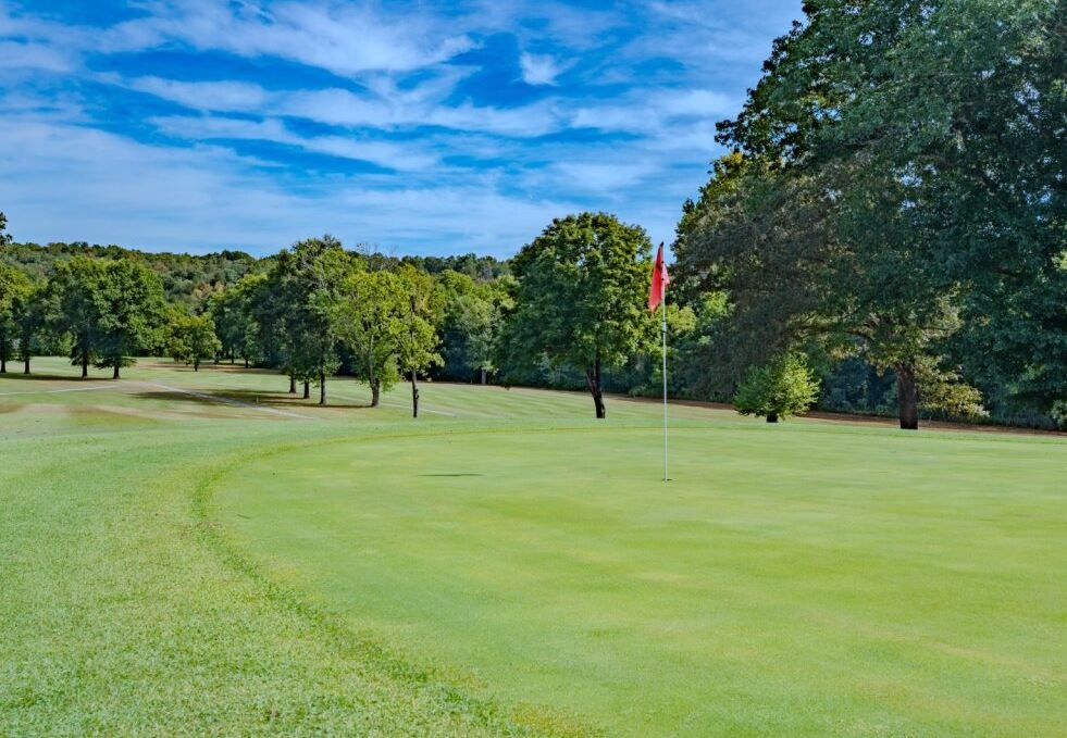 1 Acre Rare Adjoining Quadruple Lots in Fulton County Arkansas! Opportunistic Investment in a Fast Growing Community! Low Monthly Payment! - Image 4