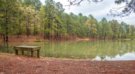 Arkansas Sharp County Ozark Acres Lot Close to HWY 62 and Vagabond Lake! Low Monthly Payments! - Image 7