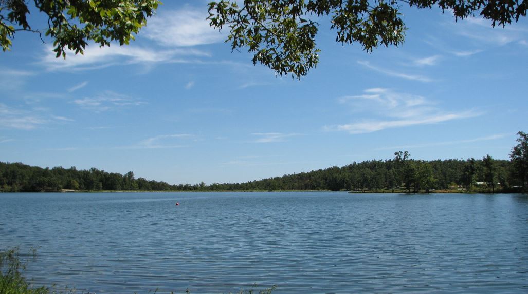 Monthly Signature Land Sale | Unique Curated Land Opportunities - Image 10