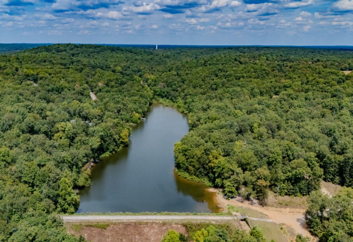 Feature Land Auction | Multi-State Timed Land Sale With Easy Terms - Image 5