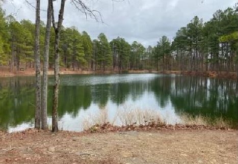 Great Sharp County Arkansas Ozark Acres Lot! Located Near Spring Lake and Highway! Low Monthly Payments! - Image 4