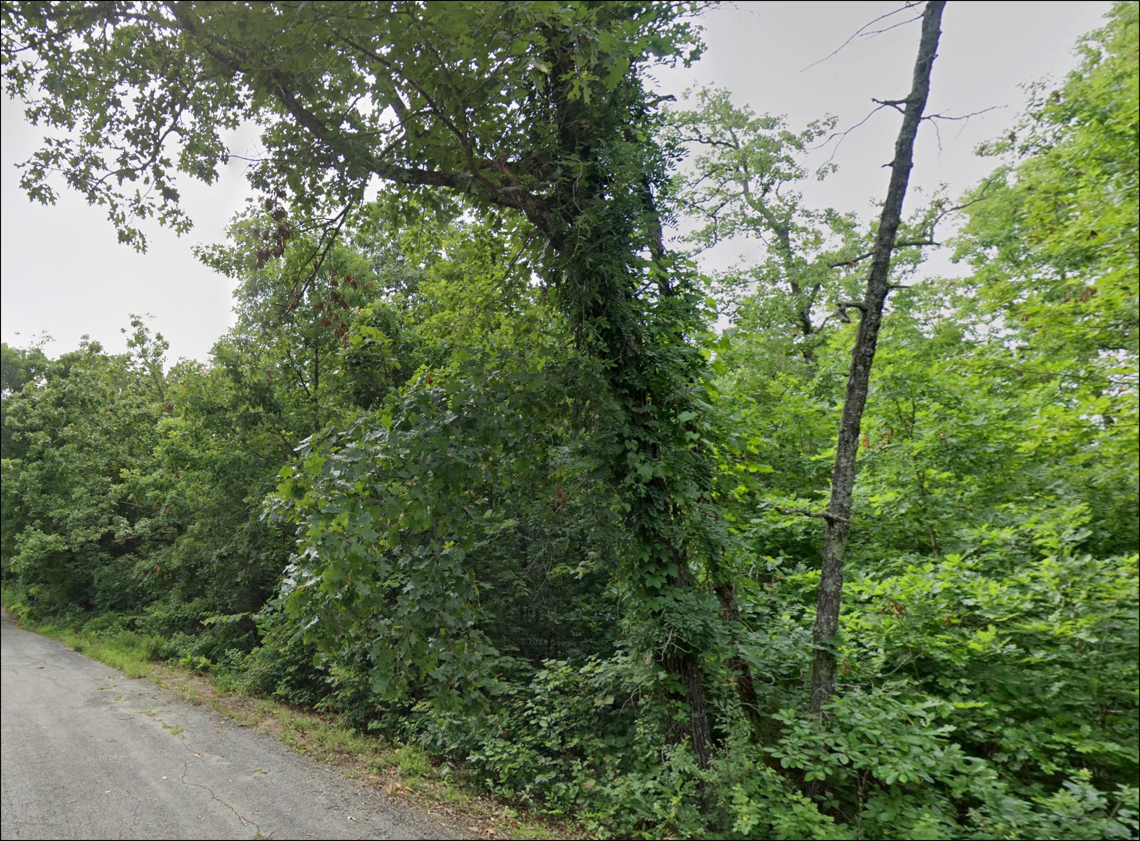 Arkansas Sharp County Ozark Acres Lakewood Estates Lot near Highway with Lakes and Parks! Low Monthly Payments! - Image 3