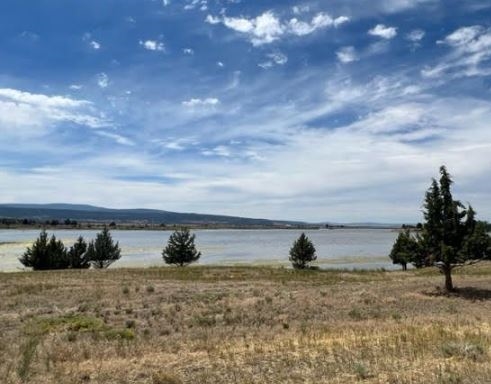 Northern California Modoc County 0.14 Acre Lot in the Heart of California Pines Community! Great Homesite near Lake! Low Monthly Payments! - Image 4