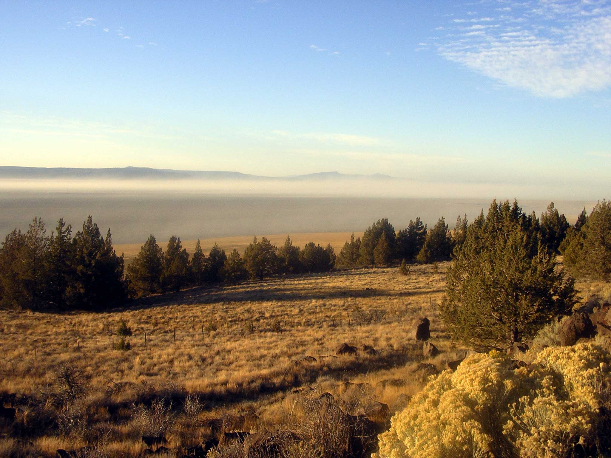 Northern California Homesite Parcel in California Pines, Modoc County - Image 4
