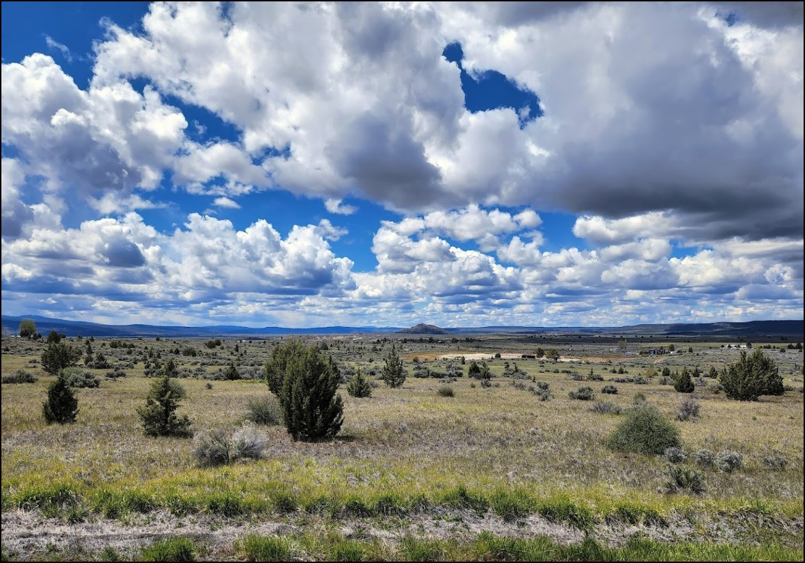 Northern California Modoc County 0.23 Acre Lot near Lake with Views! Great Homesite Community! Low Monthly Payments! - Image 7