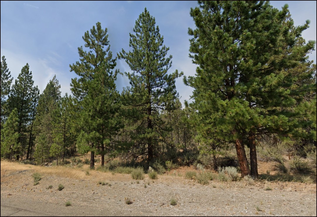 Room to Roam | Rural Acreage Auction - Image 8