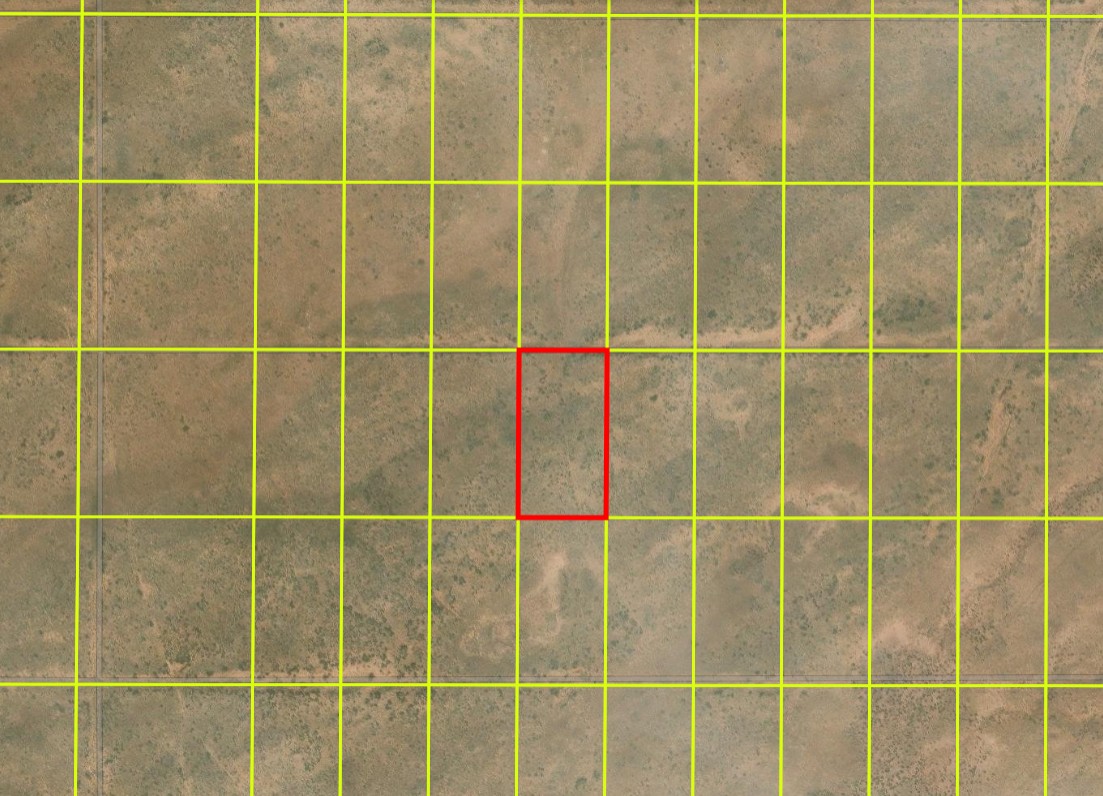 Arizona Navajo County 1.32 Acre Property Off Dirt Road! Great Investment and Desert Recreation near National Park and Town! Low Monthly Payments! - Image 5