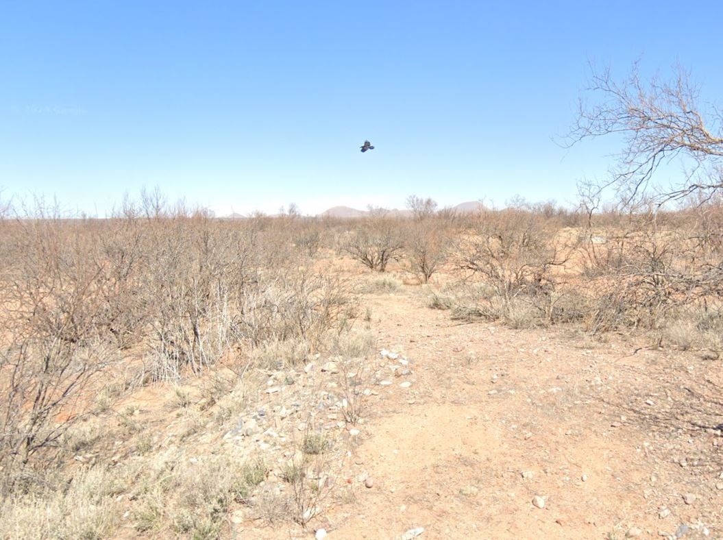 {"ops":[{"insert":"Cochise County Lot With Open Desert Views Near Pearce And Sunsitesn"}]}