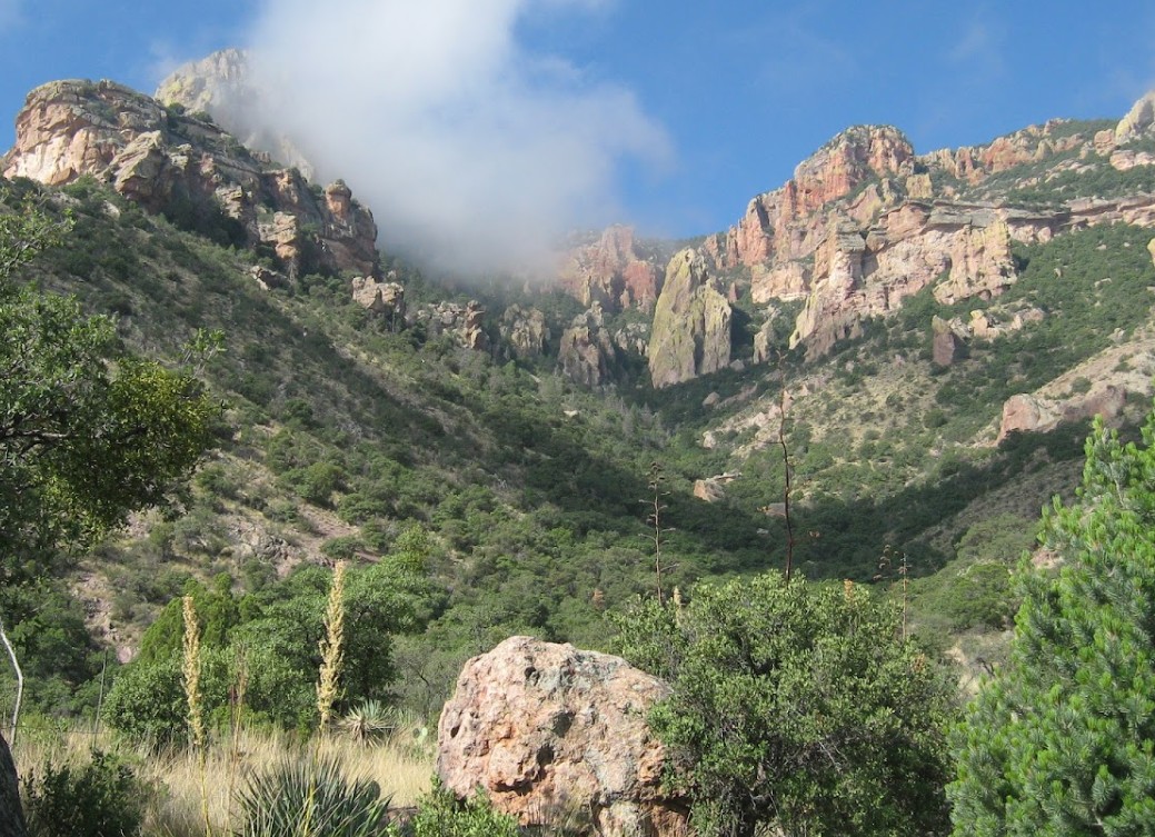 {"ops":[{"insert":"Cochise County Lot With Open Desert Views Near Pearce And Sunsitesn"}]}