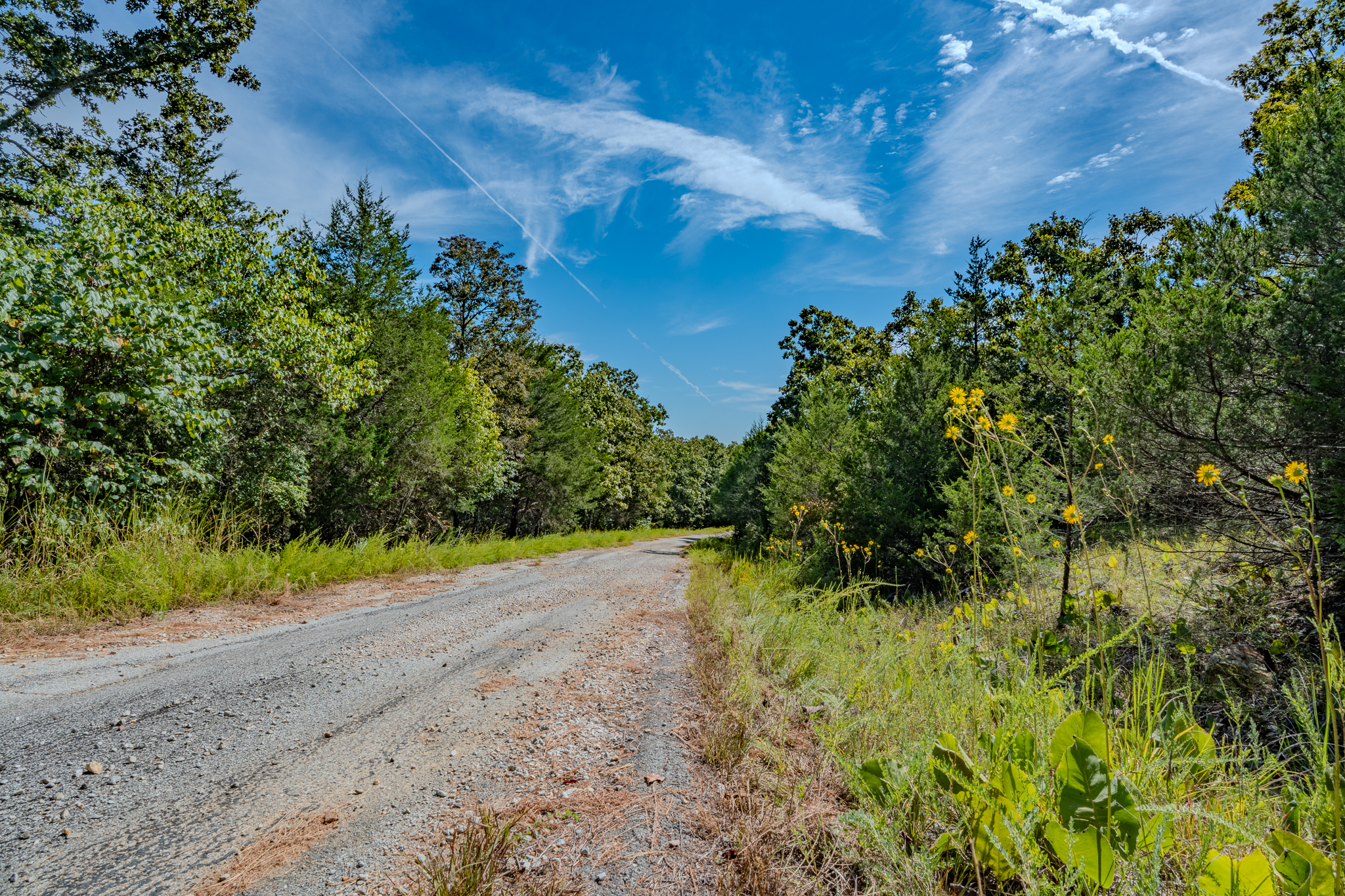 Wooded Home Potential Near Lake Chanute on 0.34 Acres in Fulton County, Arkansas