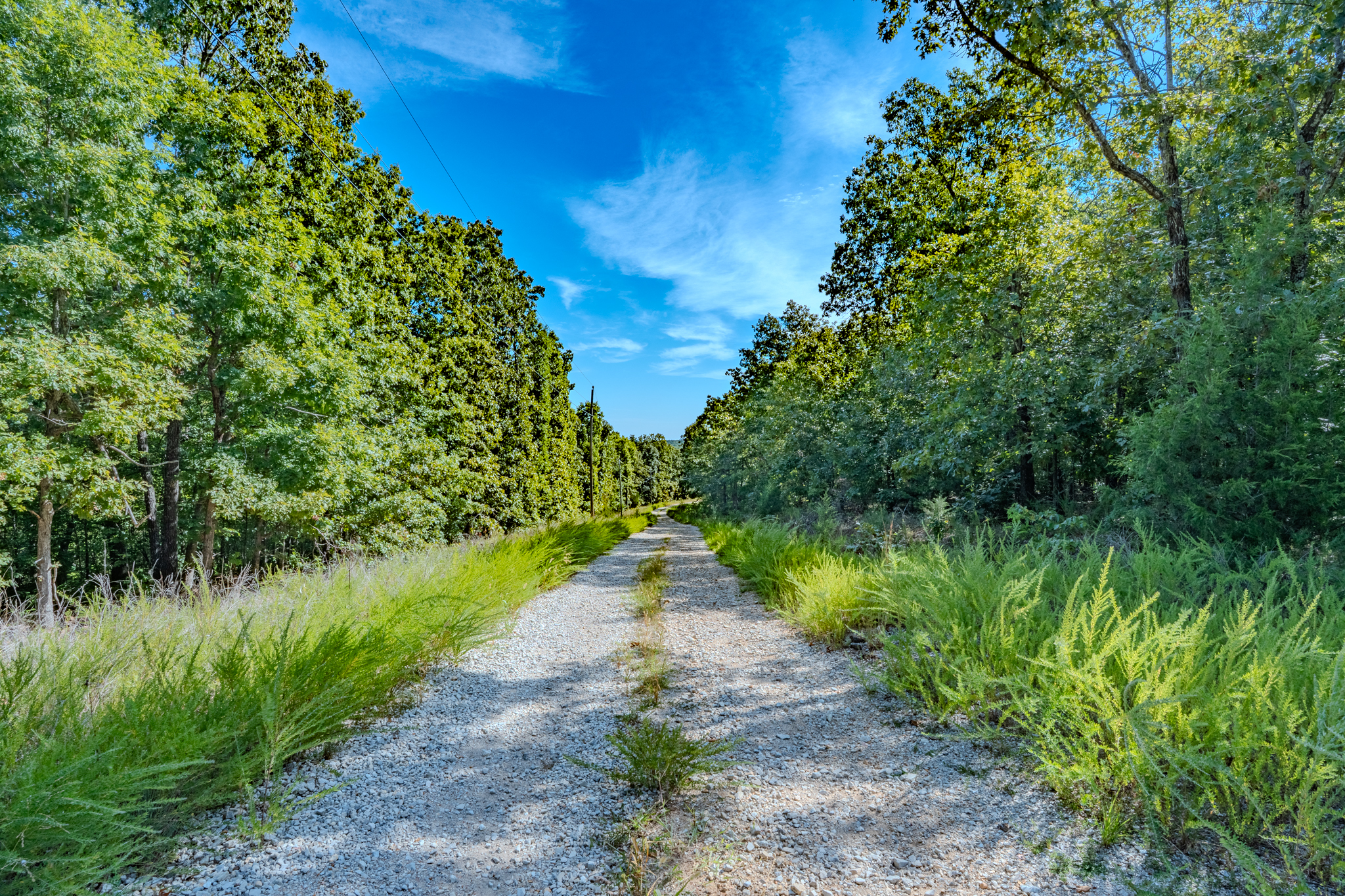 Arkansas Ozarks Property Foothold with North Arkansas Scenery Nearby near Cherokee Village - Image 3