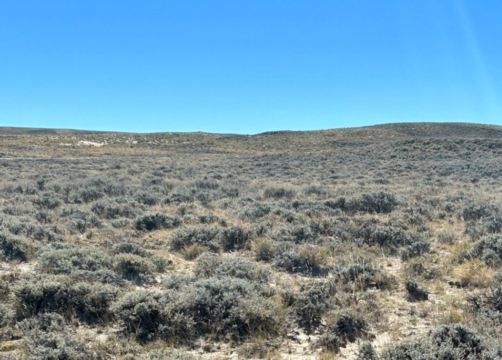 250th 4th of July Celebration Land Sale | Low Monthly Payments and No Credit Checks - Image 10