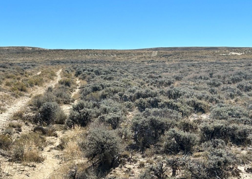 Signature Land Sale | Low Financing & No Credit Checks - Image 8
