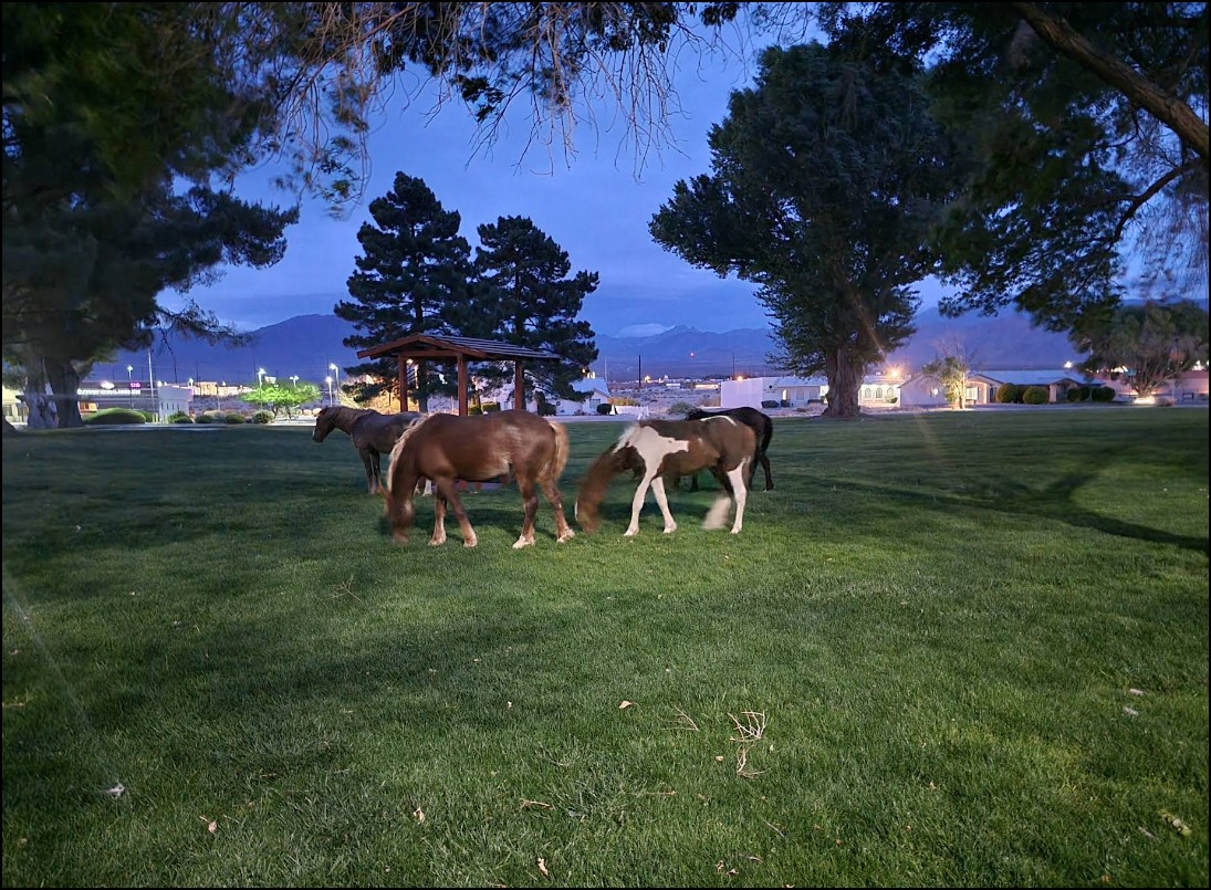 Pahrump Corner Lot with In-Town Convenience in Nye County - Image 4