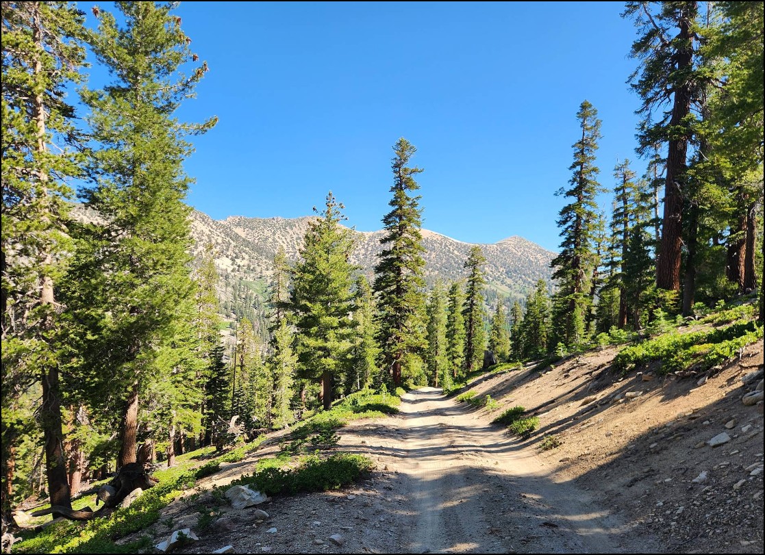 Nevada Lander County 0.39 Acre Lot! Great Location Near Town and Highway with Local Amenities! Low Monthly Payments! - Image 4