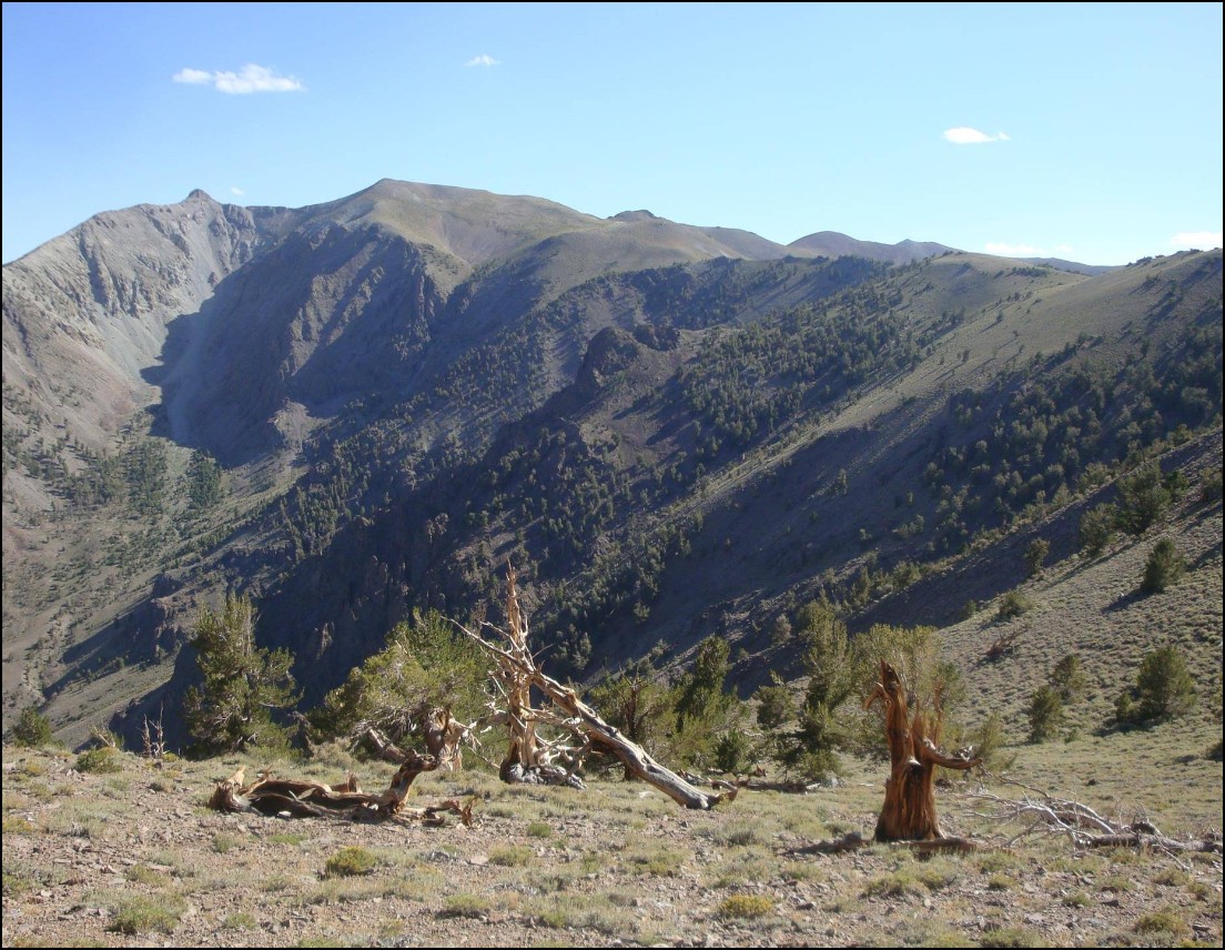 Nevada Lander County 0.39 Acre Lot! Great Location Near Town and Highway with Local Amenities! Low Monthly Payments! - Image 6