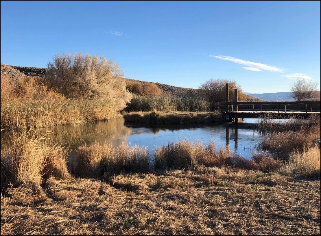0.47 Acres in Lander County Near Ruth Court with Elevated Ground - Image 4