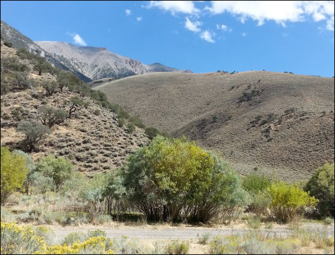 Central Nevada Land Opportunity Near Kingston with Nearby Recreation in Lander County - Image 10
