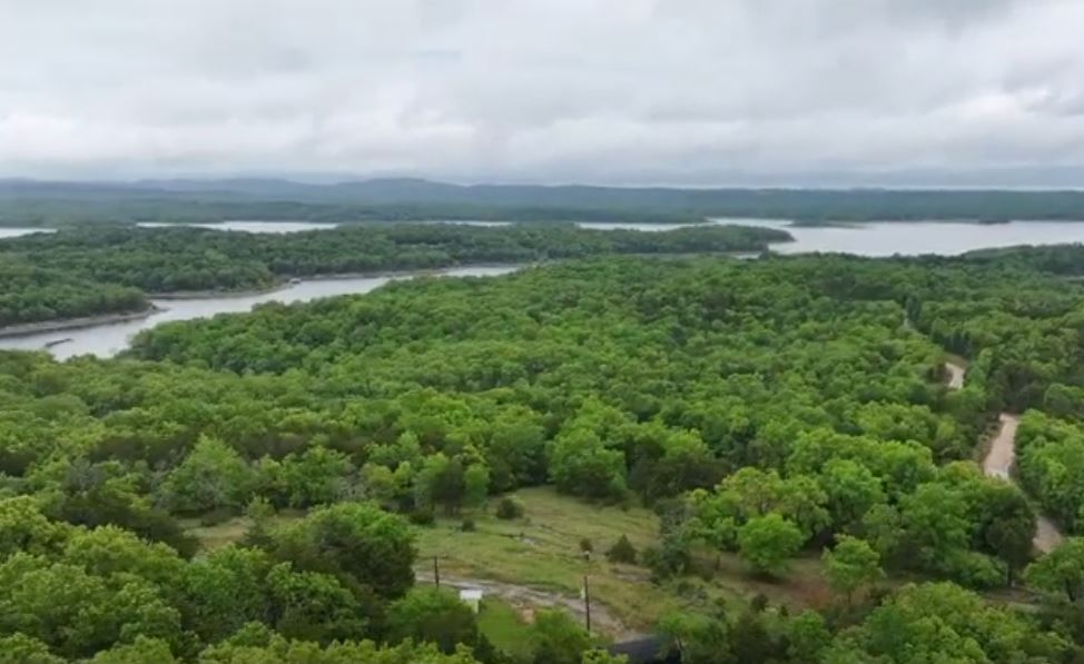 Missouri Lot in Theodosia! Nice Road Access near Bull Shoals Lake Perfect for Outdoor Enthusiasts in Ozark County! Low Monthly Payments!