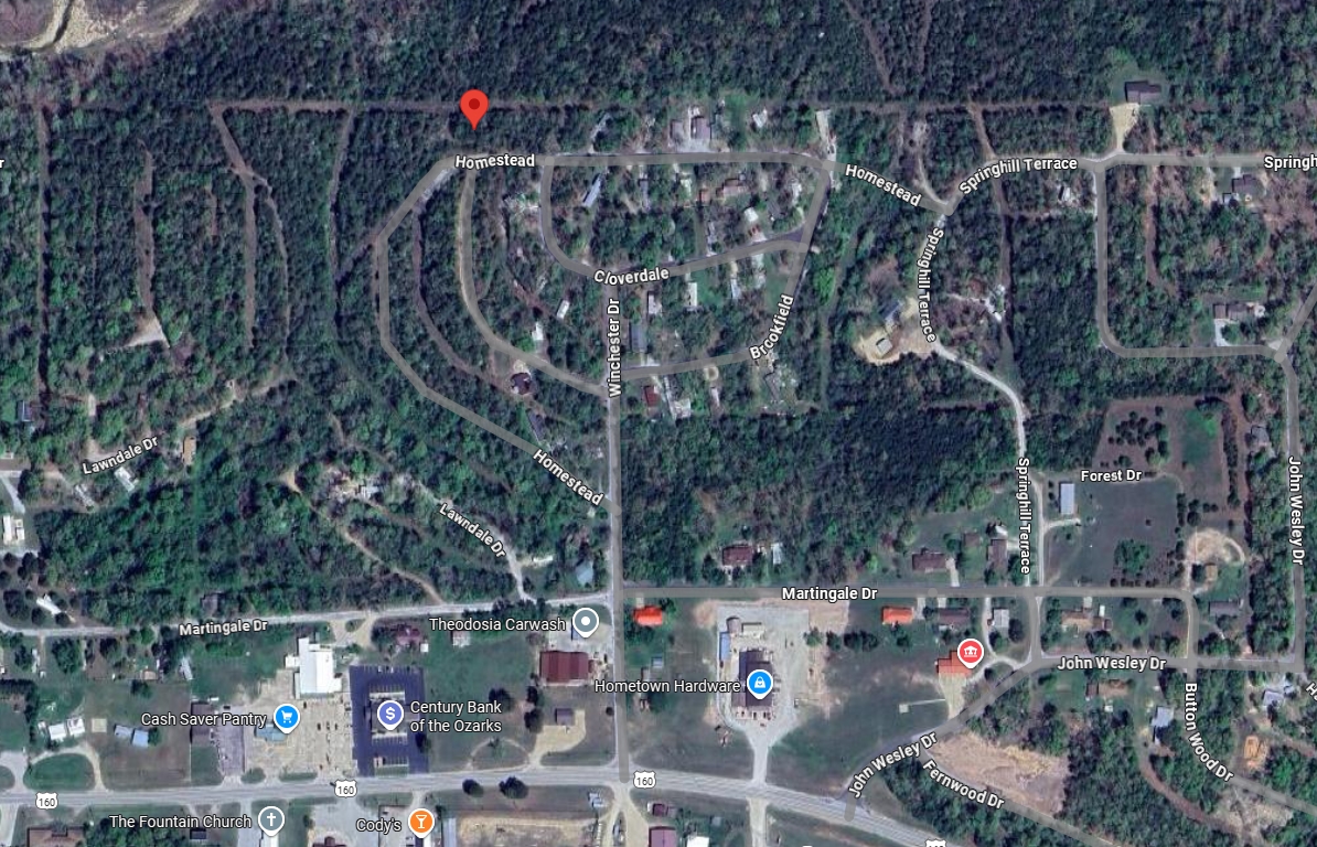 Missouri Lot in Theodosia! Nice Road Access near Bull Shoals Lake Perfect for Outdoor Enthusiasts in Ozark County! Low Monthly Payments! - Image 6