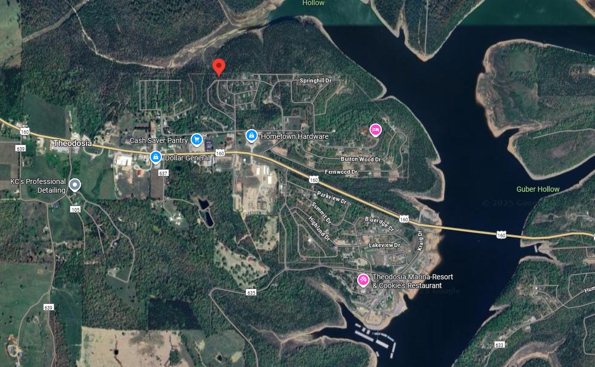 Missouri Lot in Theodosia! Nice Road Access near Bull Shoals Lake Perfect for Outdoor Enthusiasts in Ozark County! Low Monthly Payments! - Image 7