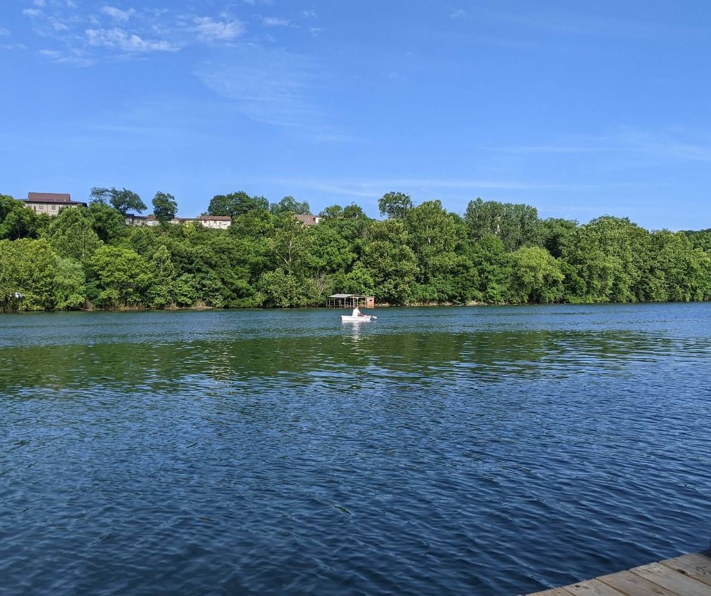 South Ozark County Lot Near Bull Shoals Lake Near Branson - Image 3