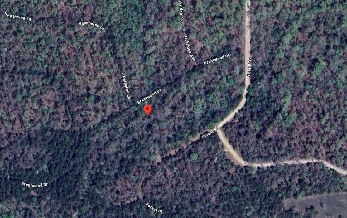 South Ozark County Lot Near Bull Shoals Lake Near Branson - Image 7