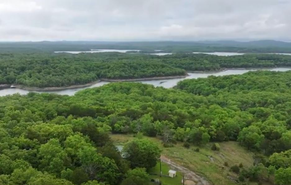 Tuesday Feature Auction |  Join Us Live To Ensure You Win - Image 3