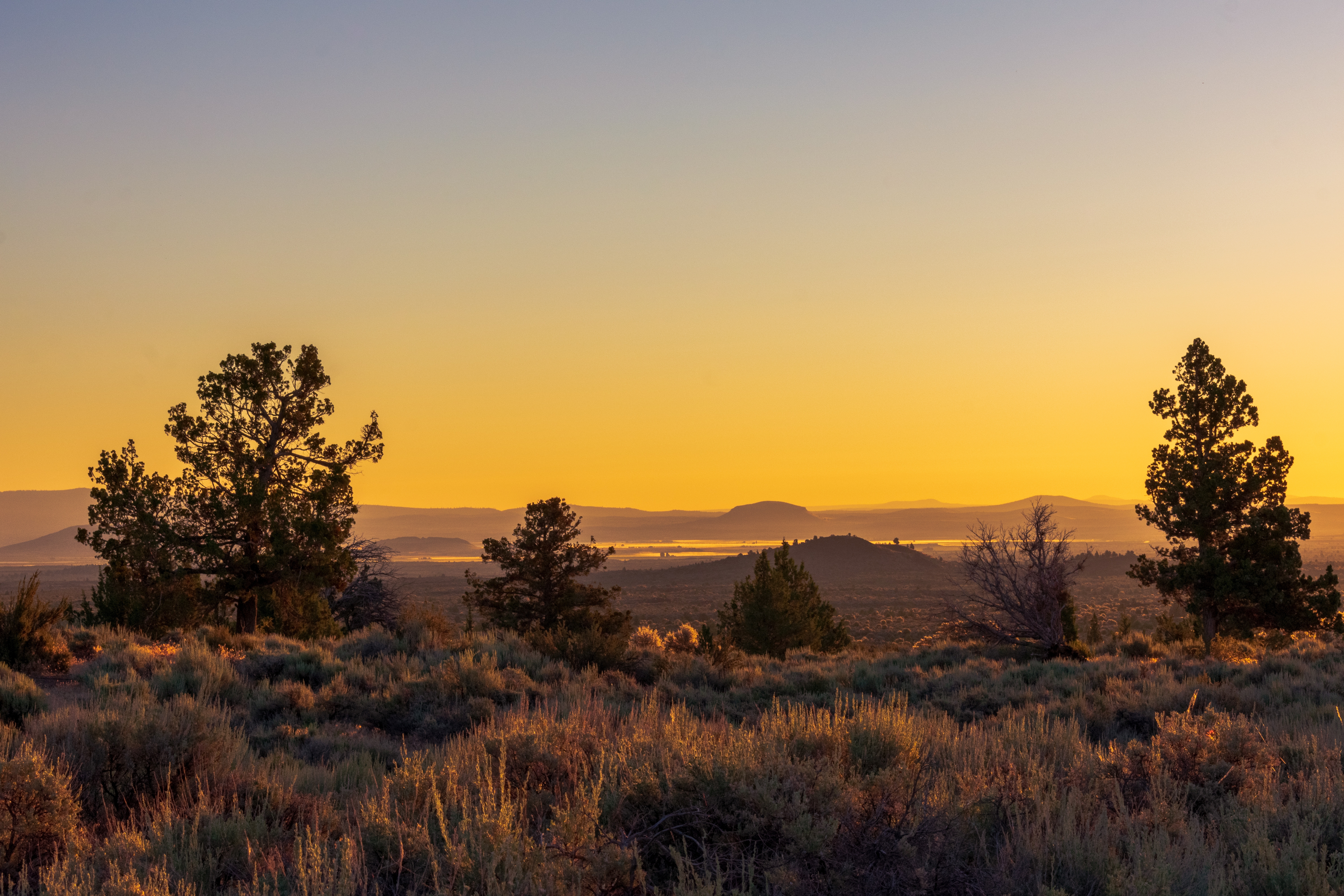 Wooded California Pines Parcel with Easy Reach to the Warner Mountains and Alturas for a Future Homesite