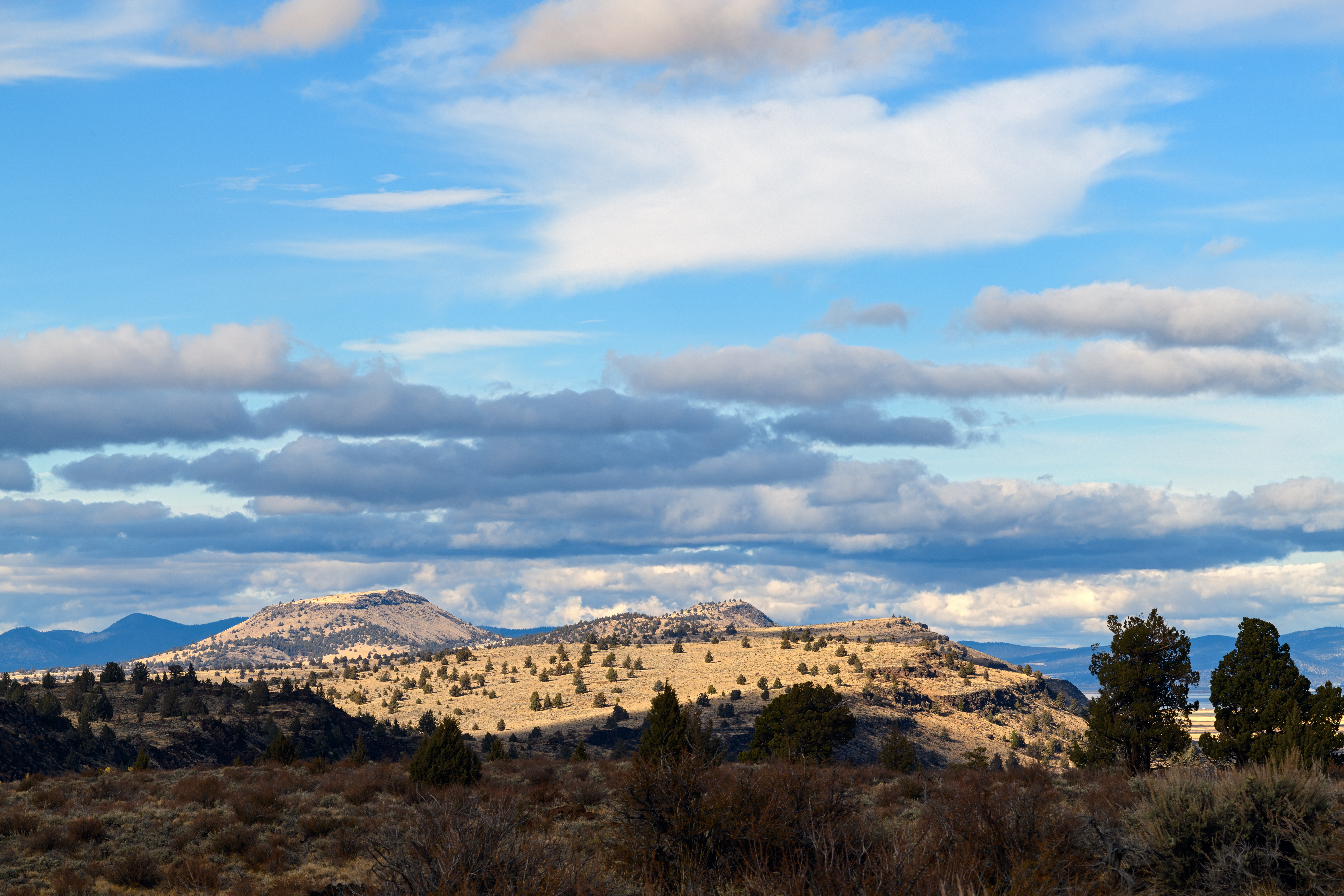 Nationwide Timed Land Auction | Low Monthly Payments and No Credit Checks - Image 8