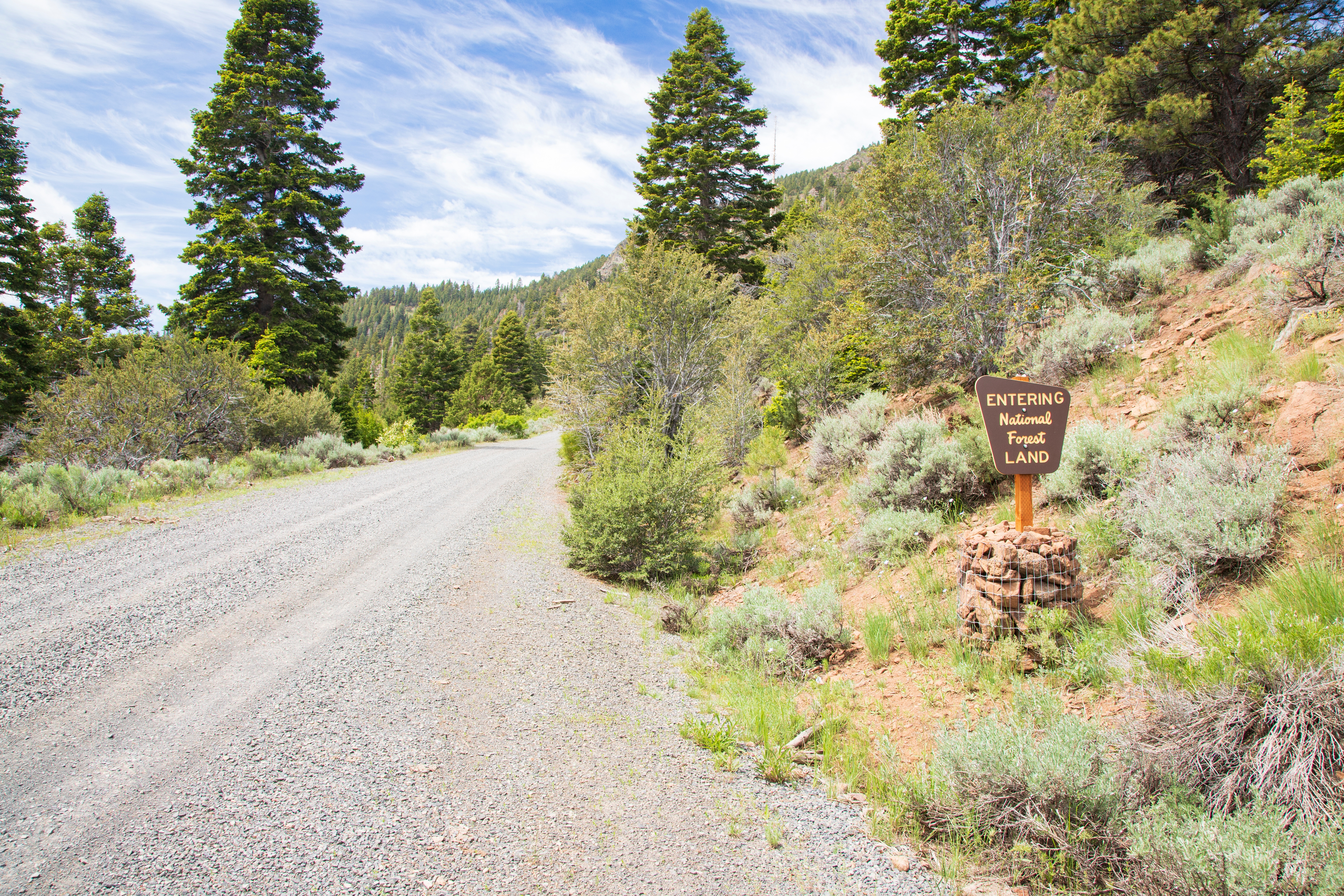 Freedom Acres | Off-Grid Land Auction - Image 10