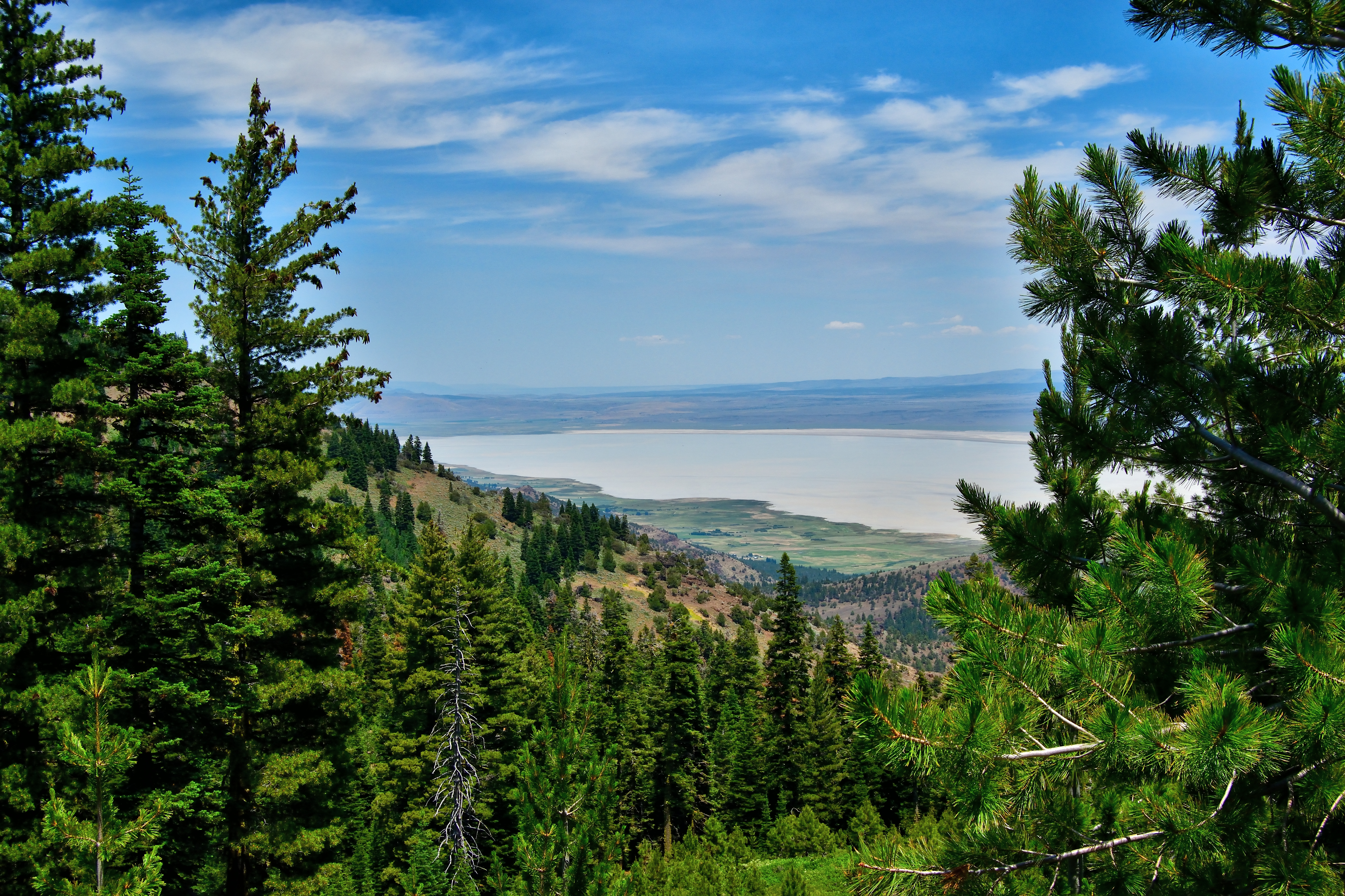 Exclusive Weekend Land Sale | Discover Properties Across the Nation - Image 5