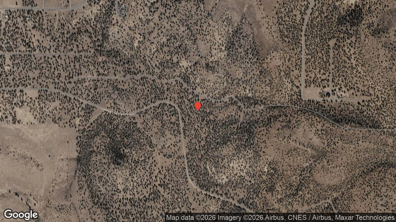 Pine Covered Parcel in California Pines near Donovan Reservoir and the California Pines Lodge for a Future Homesite - Image 5