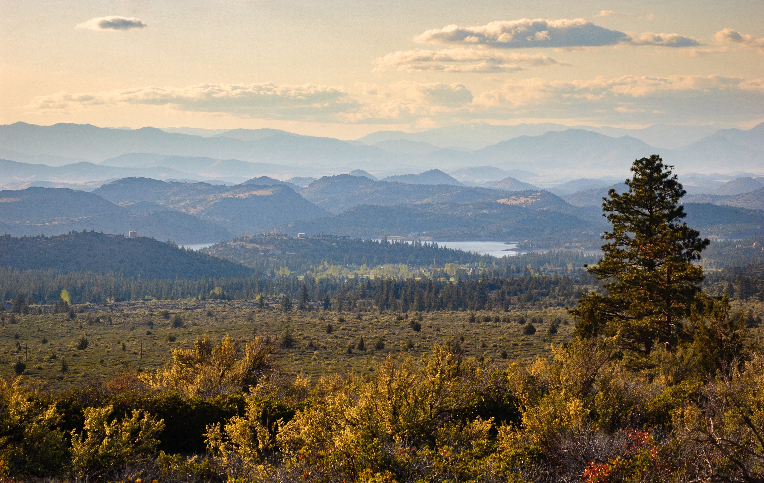 July Land Special | 30 Parcels Starting at $15 - Image 7