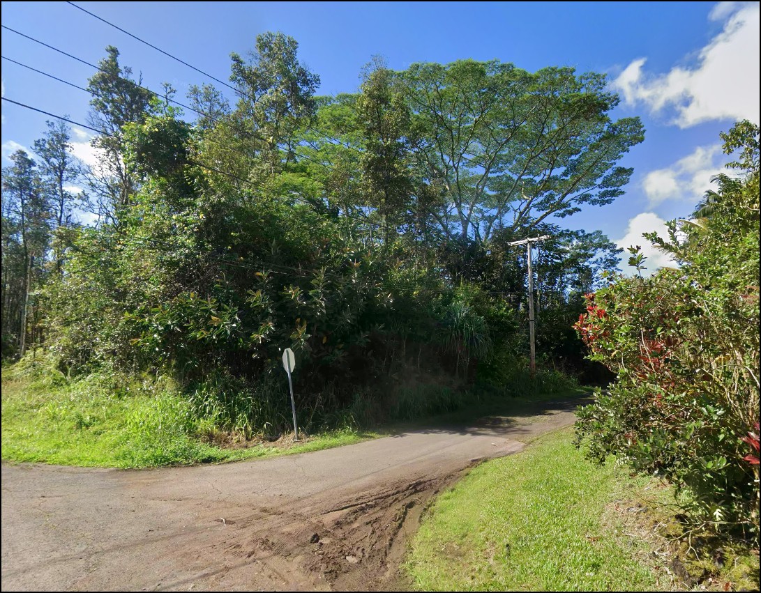 Rare Adjoining Lots in Nanawale Estates with Tropical Setting on Hawaii Island