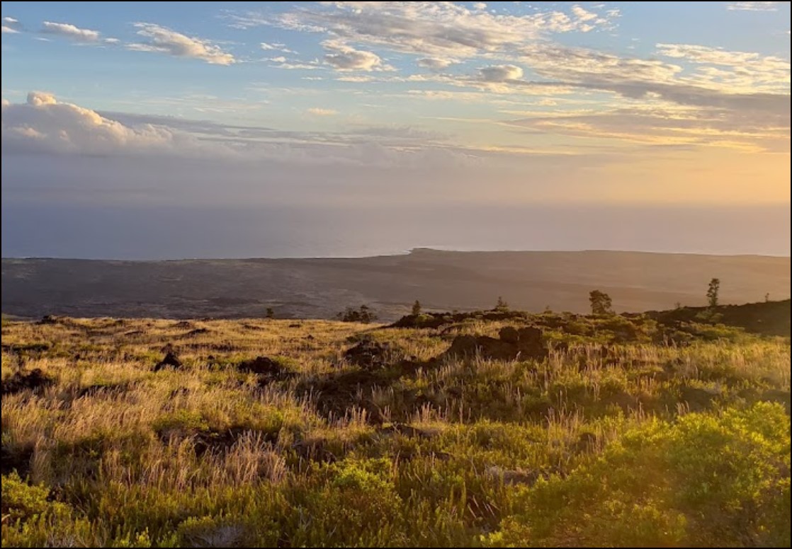 Rare Adjoining Lots in Nanawale Estates with Tropical Setting on Hawaii Island
