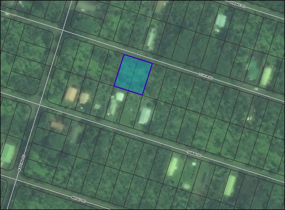 Rare Adjoining Lots in Nanawale Estates with Tropical Setting on Hawaii Island