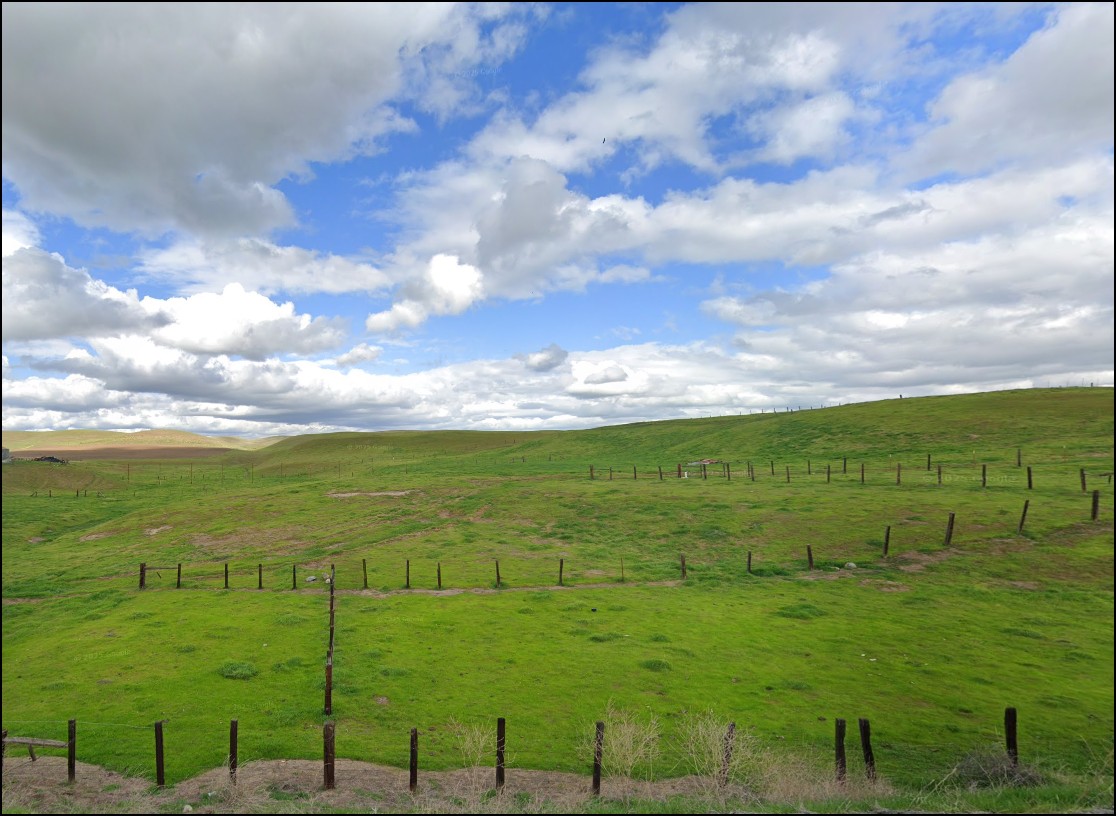 Wednesday Timed Land Auction | Low Financing & No Credit Checks - Image 8